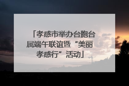 孝感市举办台胞台属端午联谊暨“美丽孝感行”活动